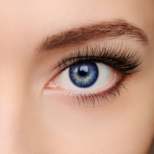 Closeup beautiful blue woman eye with long salon lashes looking