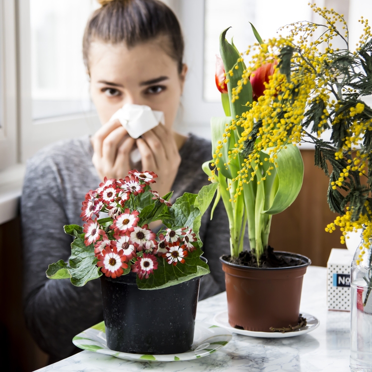 花粉症に困っている人必見！花粉症対策におすすめの食事・NGな食事とは？