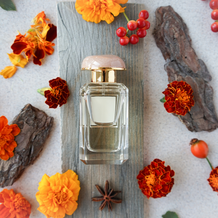お気に入りの香りで秋を感じたい！しっとり落ち着く新作フレグランス特集